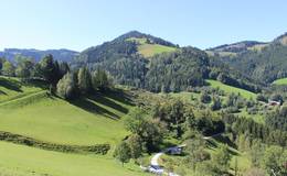 View to the Zechnerschlag