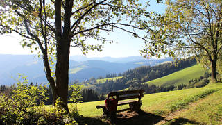 Königskogel circular trail / Hiking / Koglhof