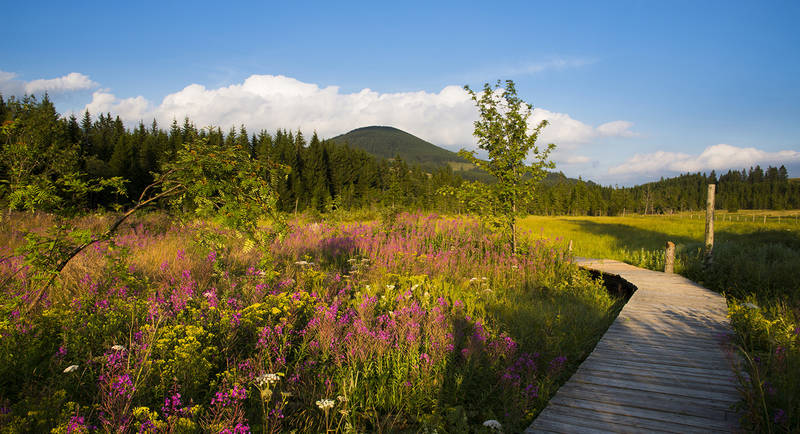 Teichalm bog nature trail