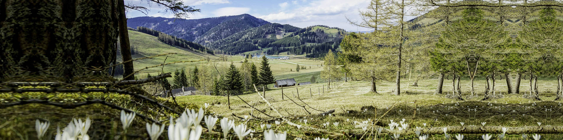 Teichalm in spring